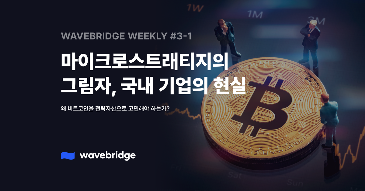 [Wavebridge Weekly #3-1] 마이크로스트래티지의 그림자, 국내 기업의 현실