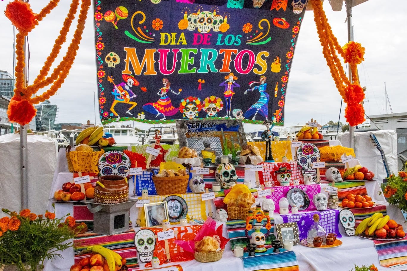 A colorful Day of the Dead display of skull heads, fruit, flowers and other items. 