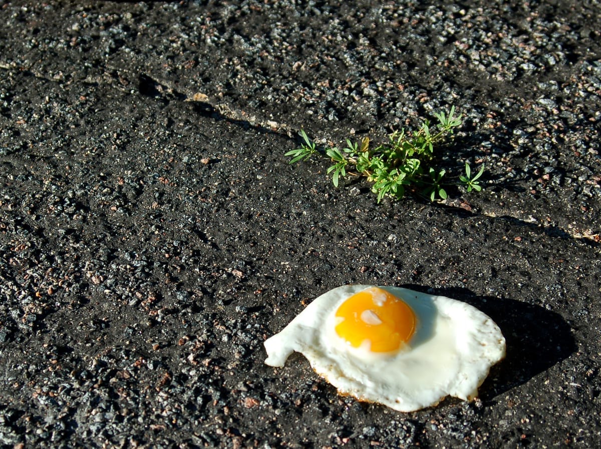 Fried egg on dirt/concrete.