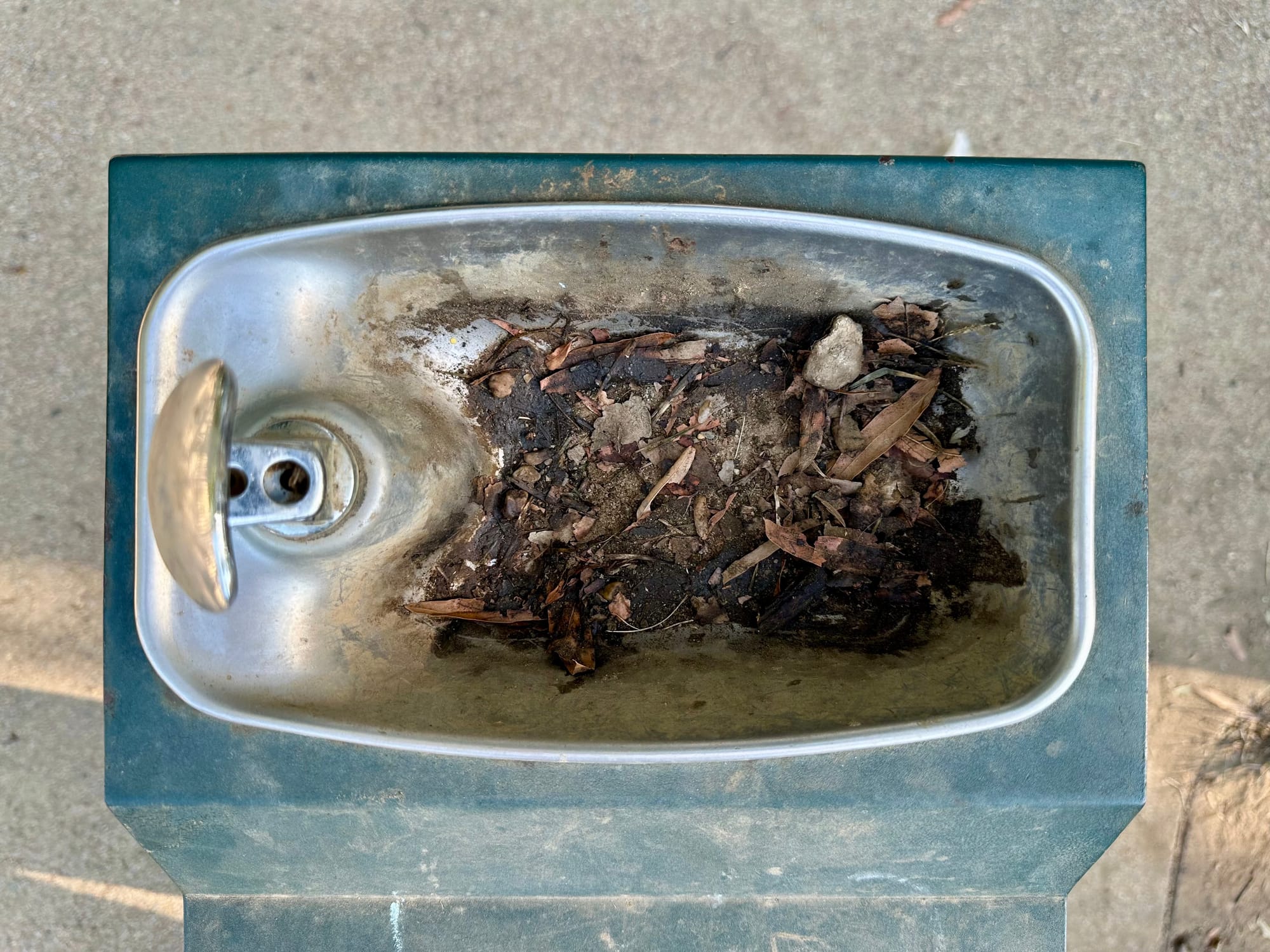 A water fountain filmed with leaves, dirt, and grime.
