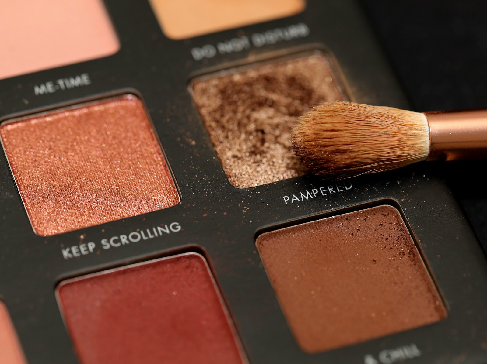 A closeup of a makeup palette, with shades titled "keep scrolling" and "pampered"