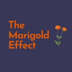 The Marigold Effect logo