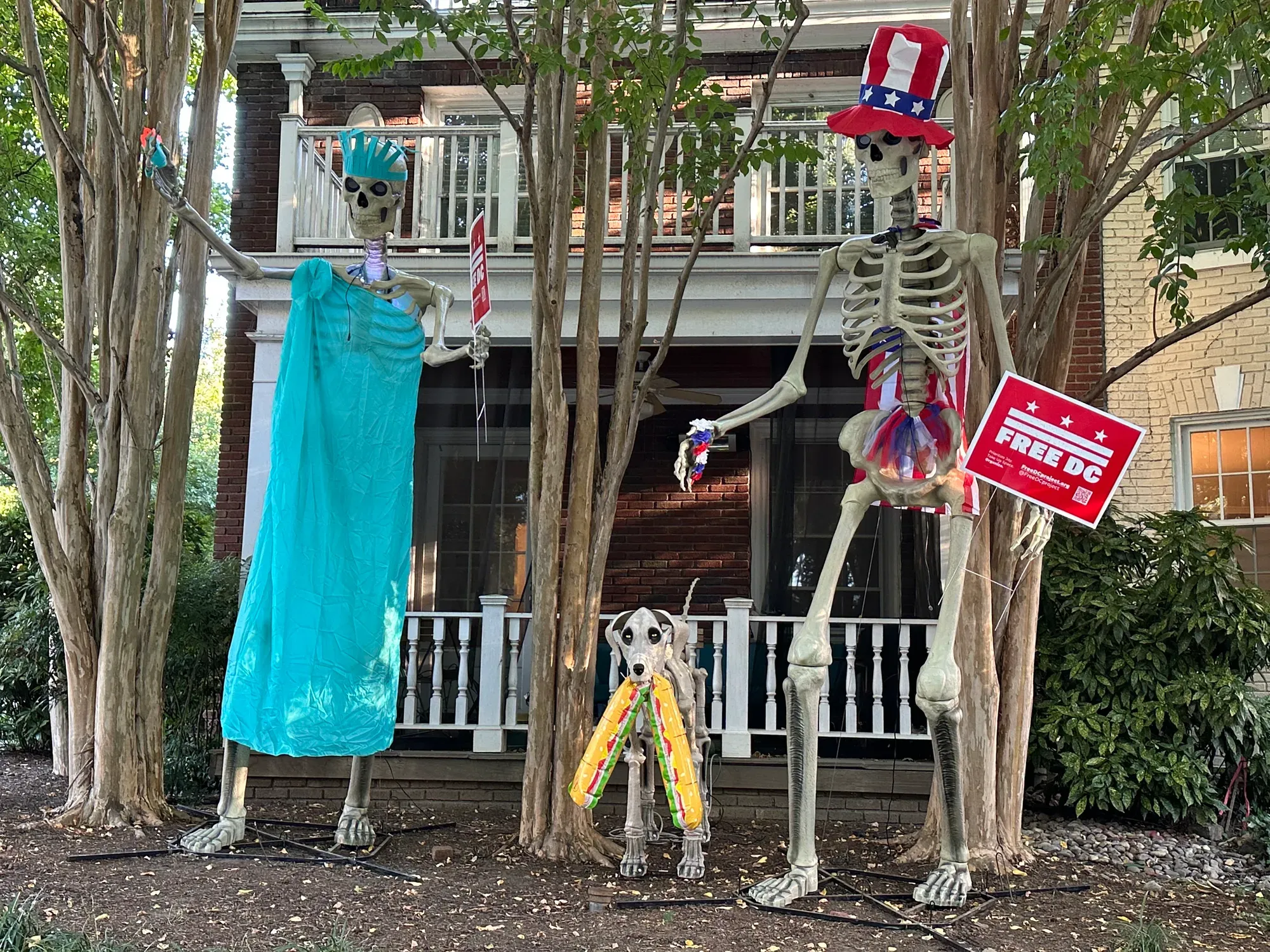 Three skeletons decorate a D.C. lawn —&nbsp;one dressed as the Statue of Liberty, one in Americana, and a dog with two sub sandwiches in its mouth.