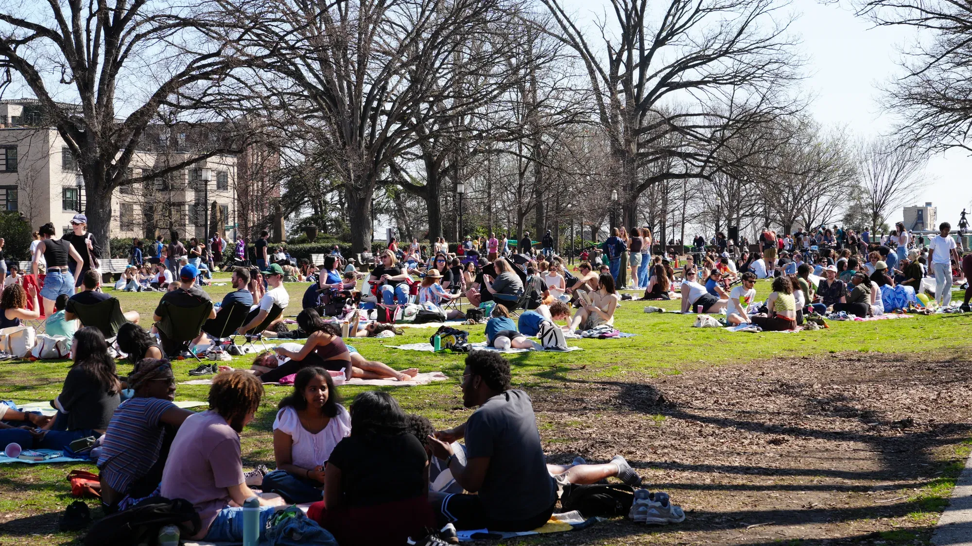 A large crowd of people picnic in D.C.'s Meridian Hill/Malcolm X Park.