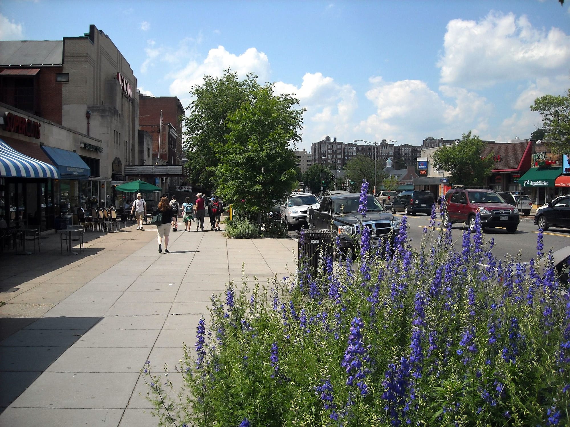 Springtime on Connecticut Ave. NW in D.C.'s Cleveland Park.