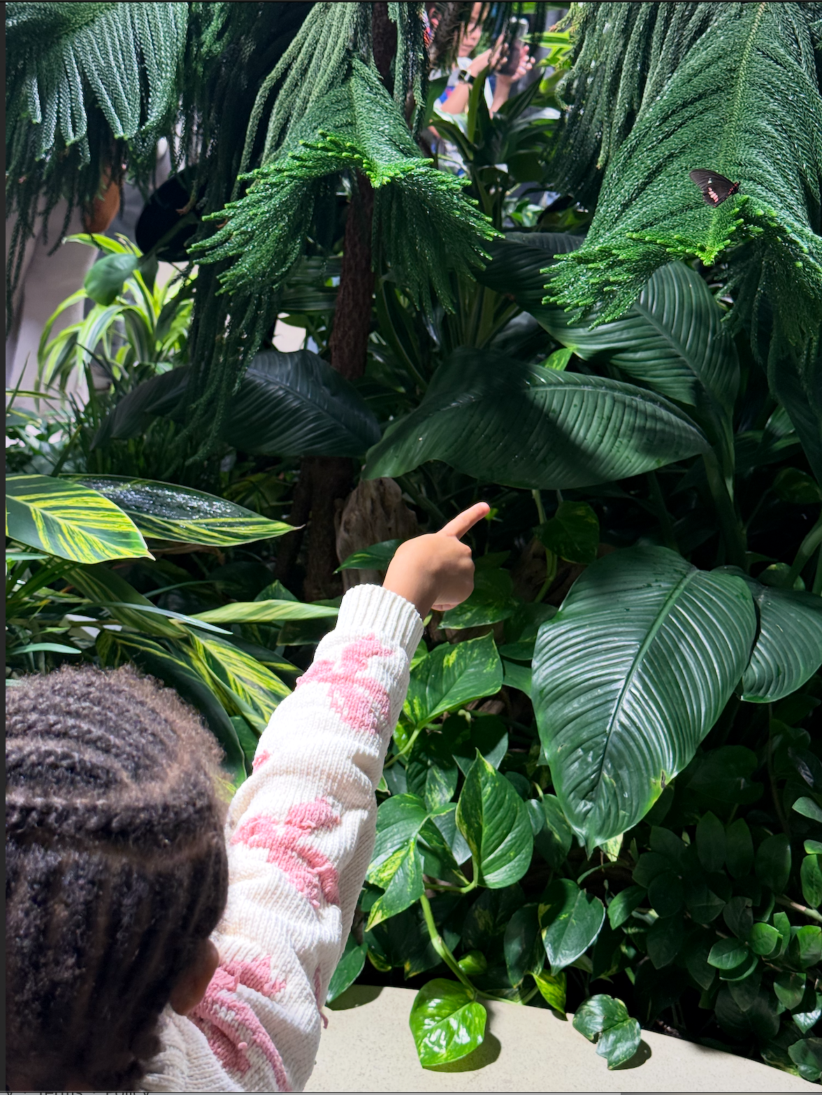 A little girl points at a butterfly among plants. 
