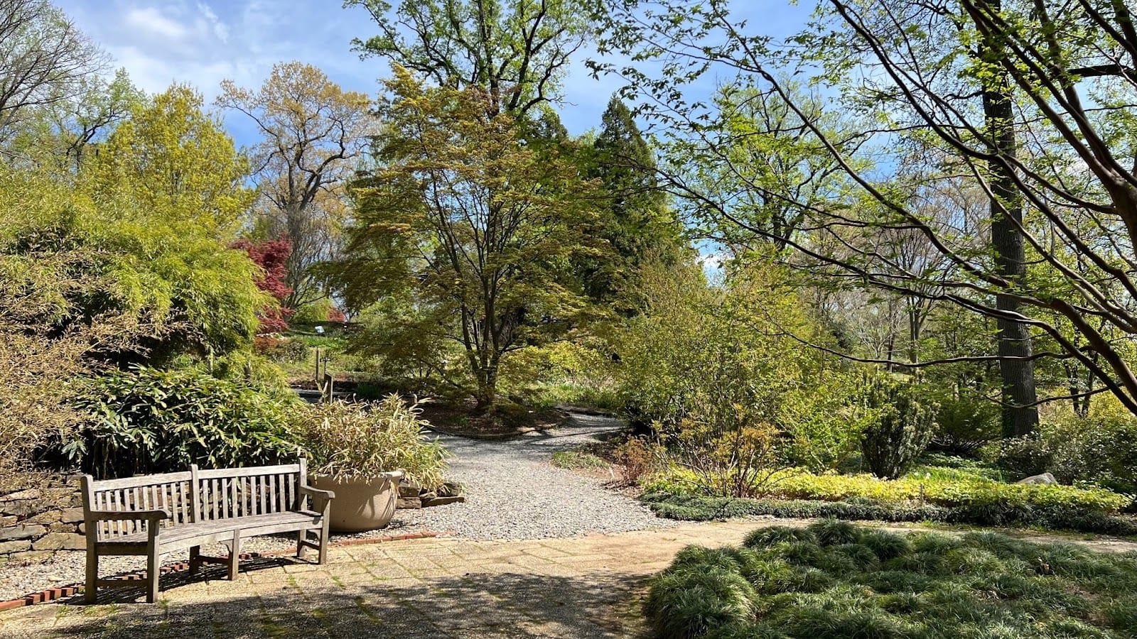 A bench and path inside the U.S. National Arboretum in Washington, D.C.