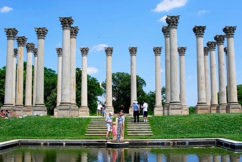 The Capitol columns at the U.S. National Arboretum.