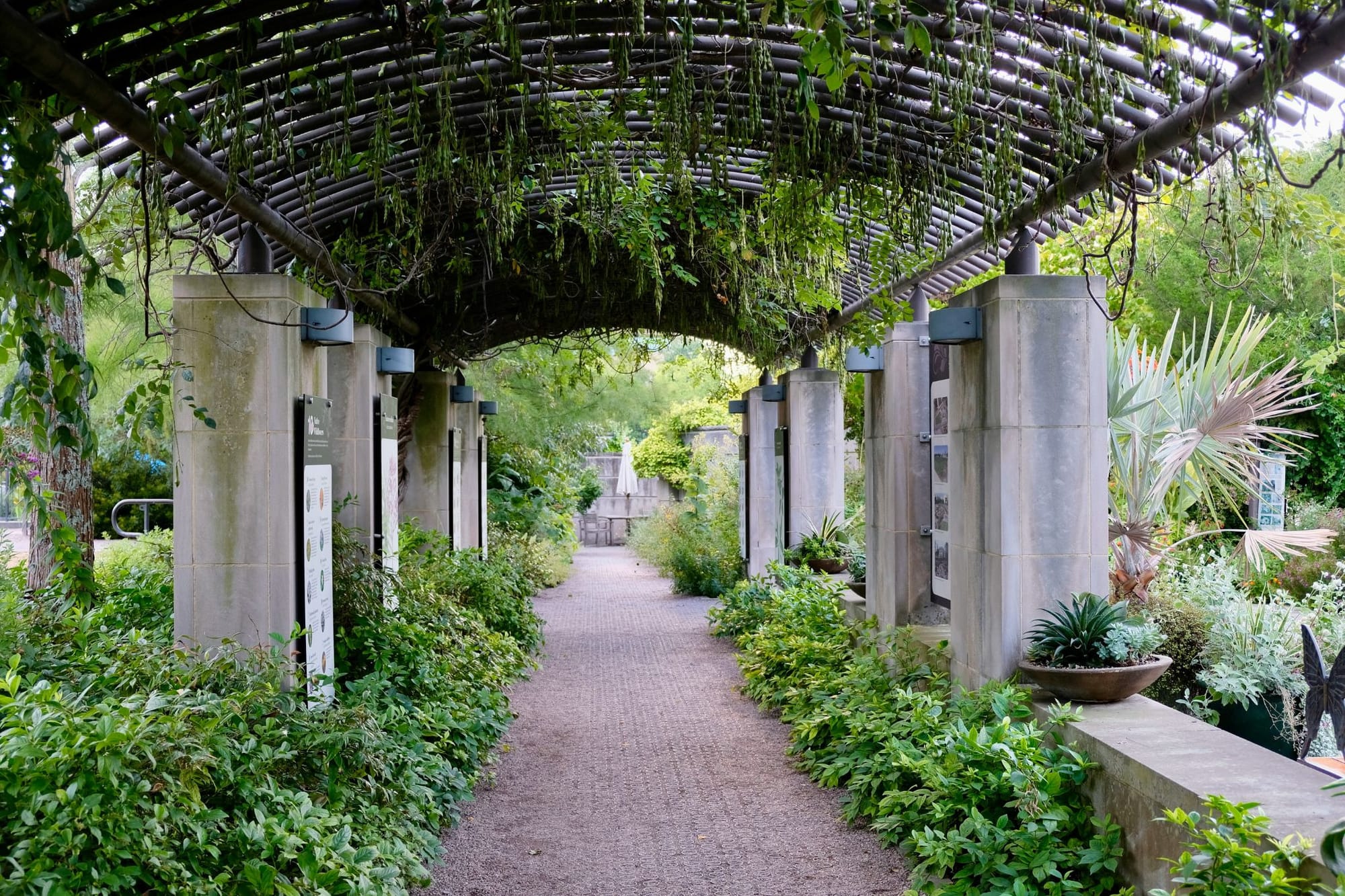 An arch covered in greenery inside the U.S. Botanic Garden.