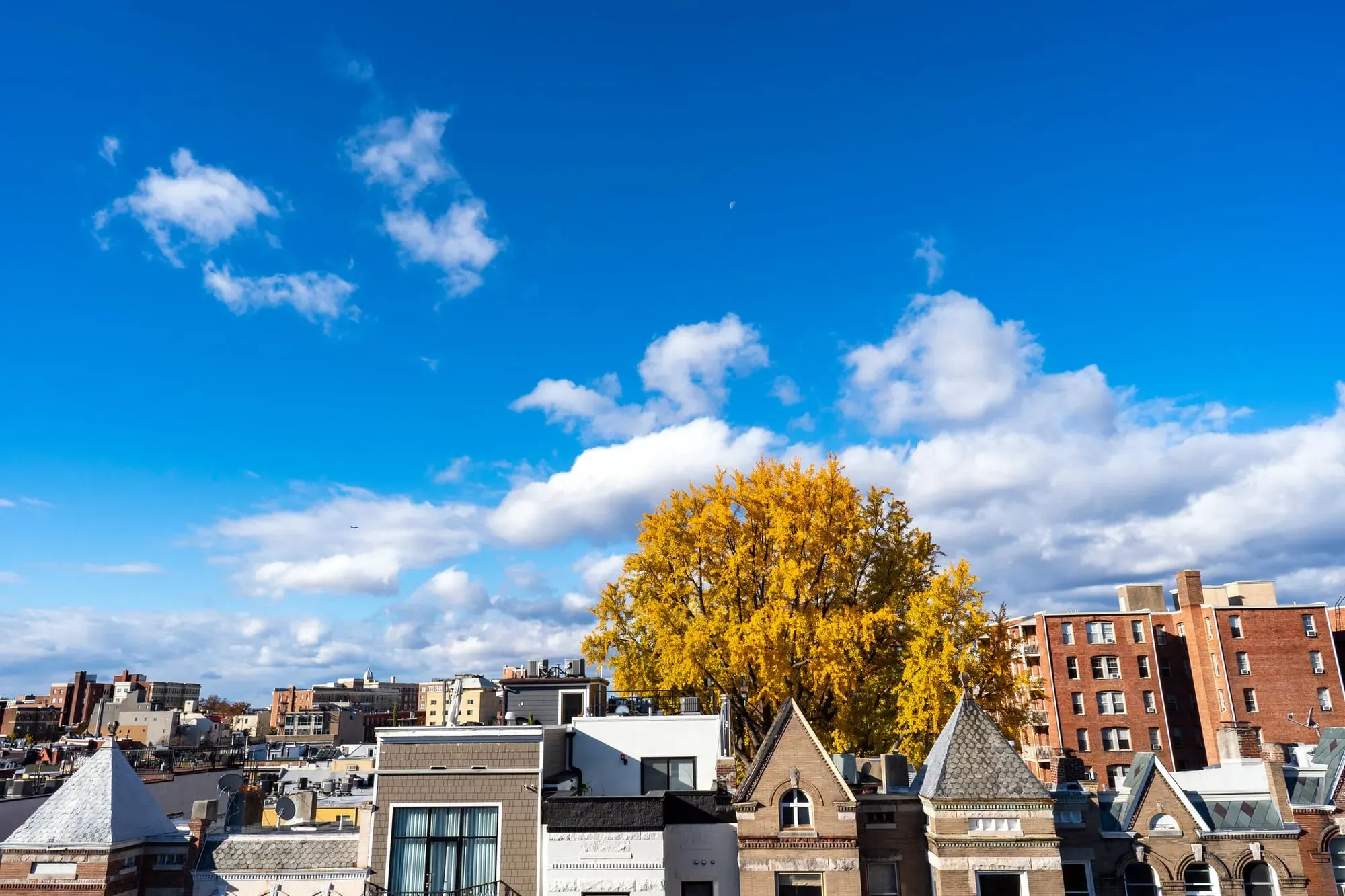 A photograph of a blue sky with clouds and the tops of D.C. row houses.