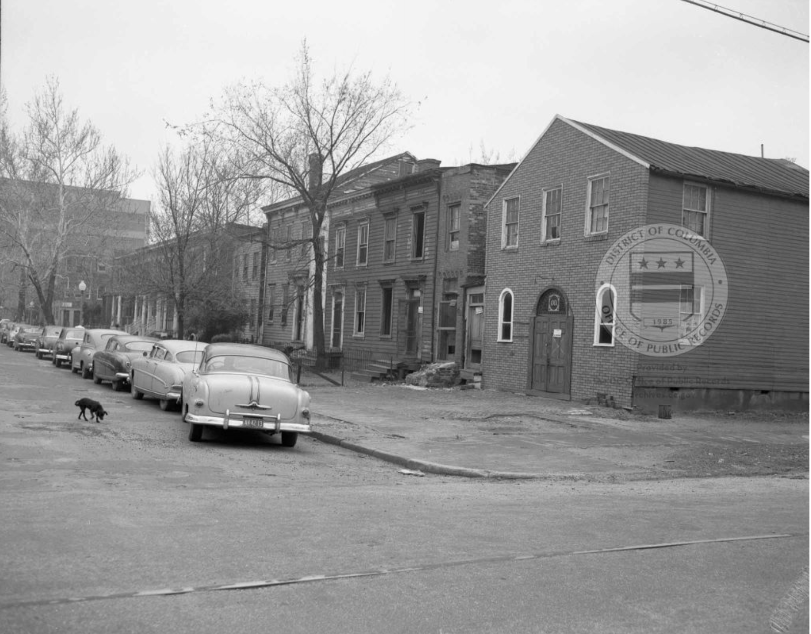 Black-and-white photo showing a row of two-story, mostly residential buildings, with cars lining the curb and a dog crossing the street.
