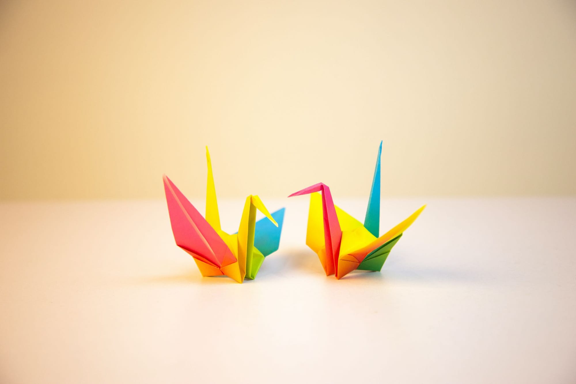Two rainbow origami cranes
