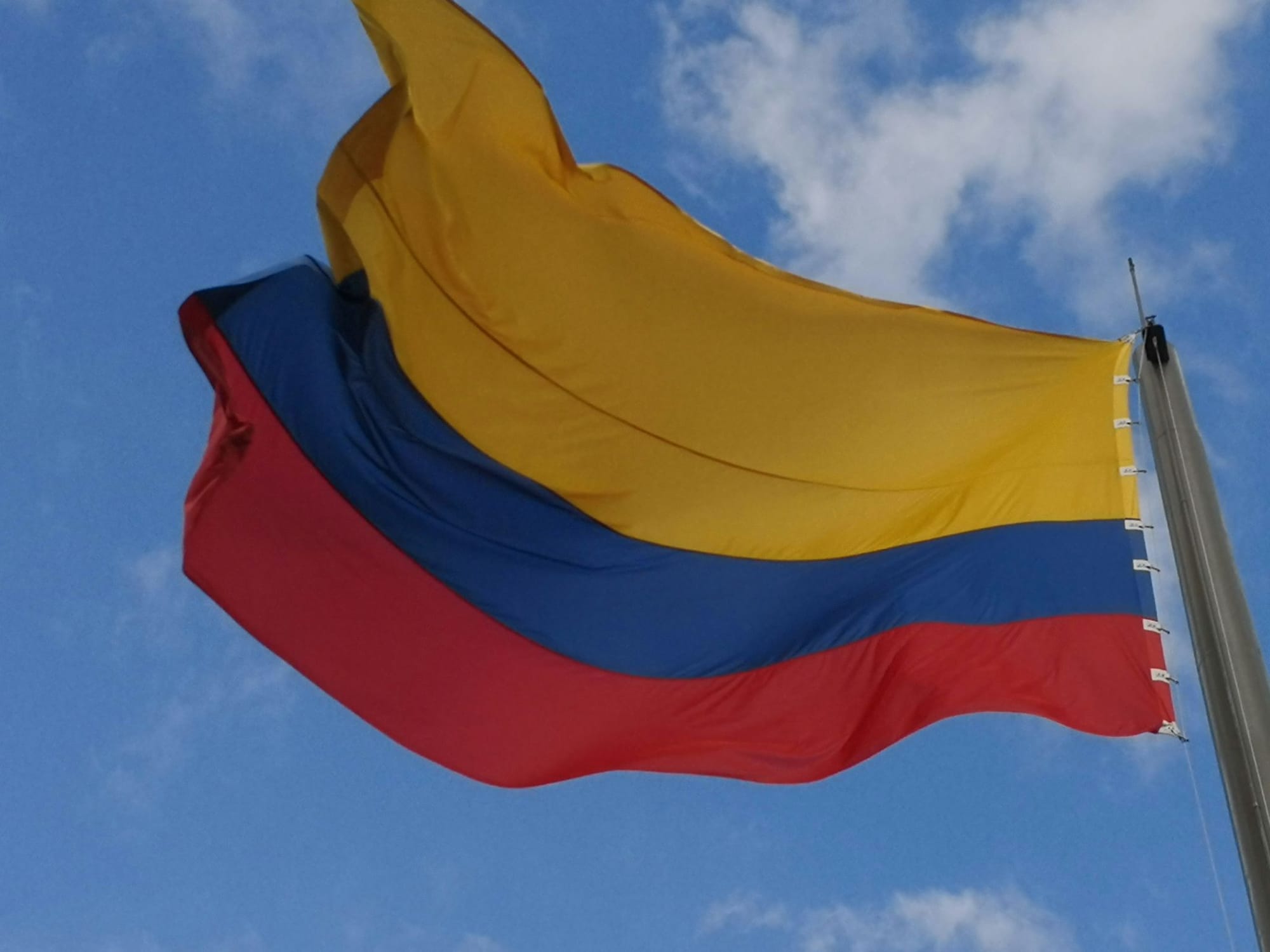 The flag of Colombia waves in the wind