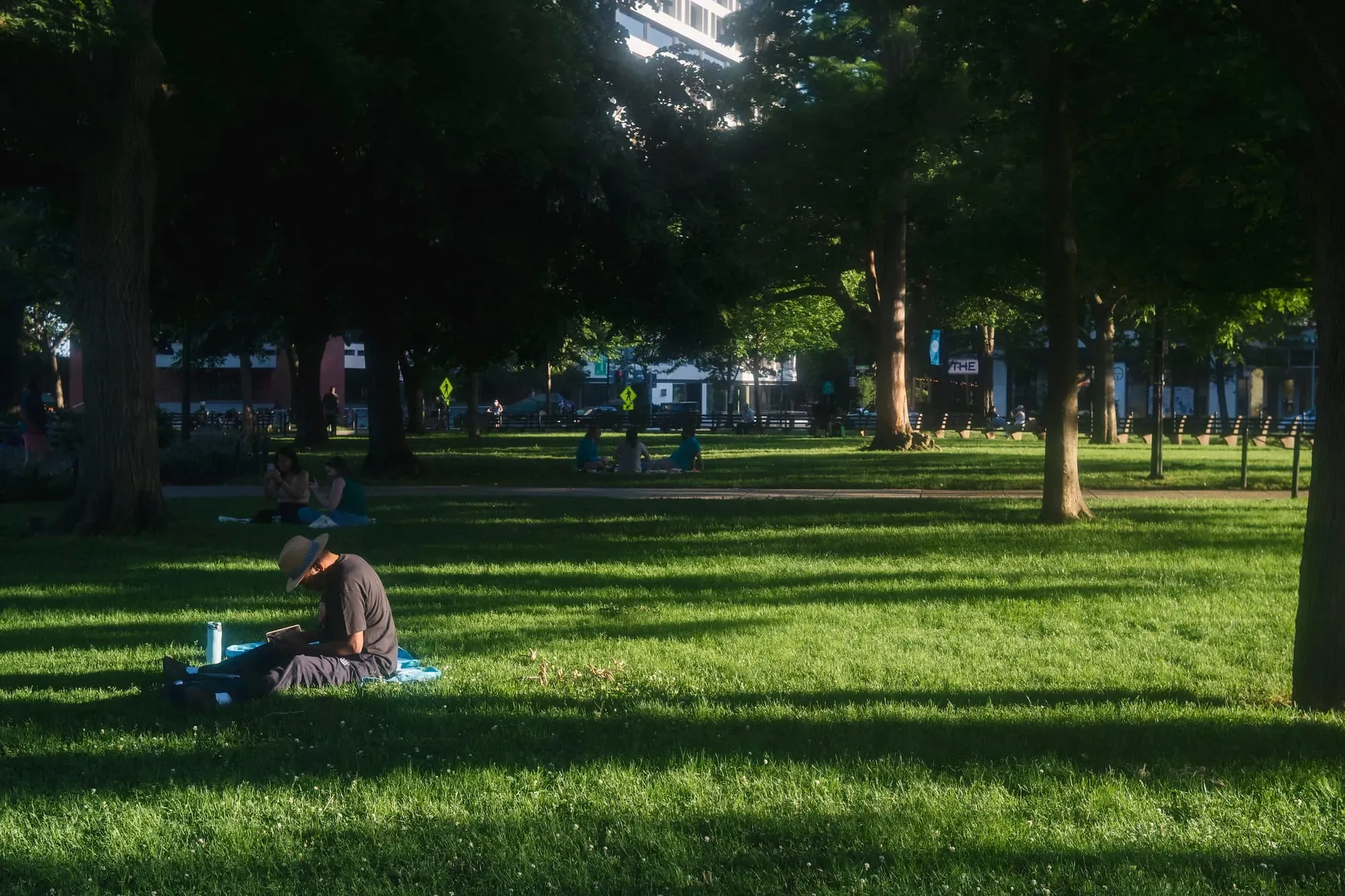 A photograph of a green lawn with a person sitting and reading a book.