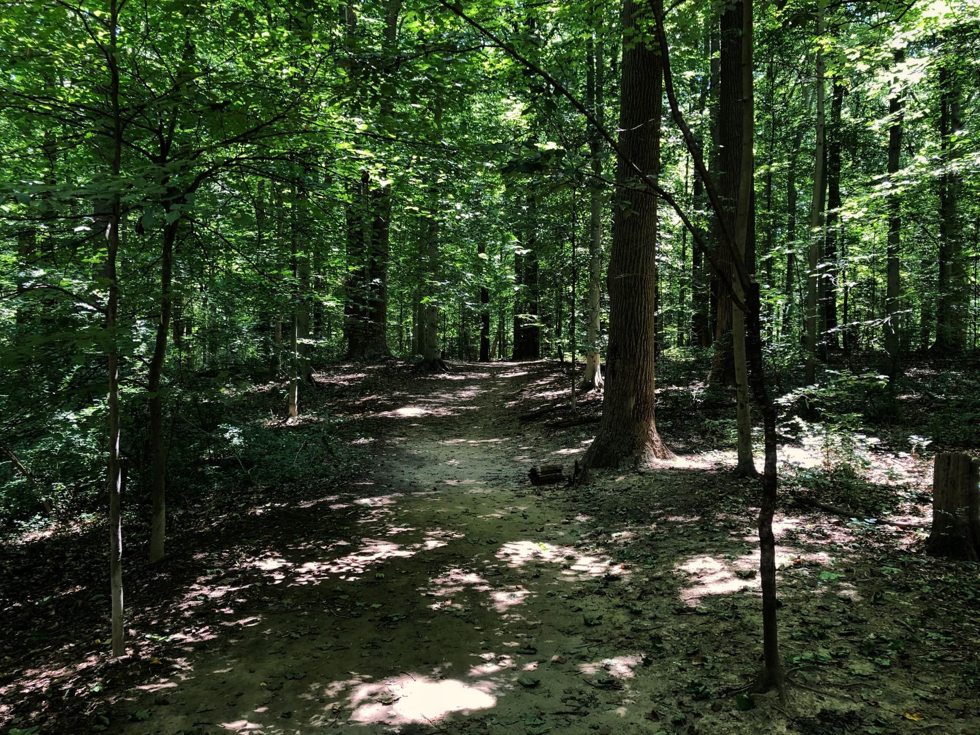 A trail in Rock Creek Park in Washington, D.C.