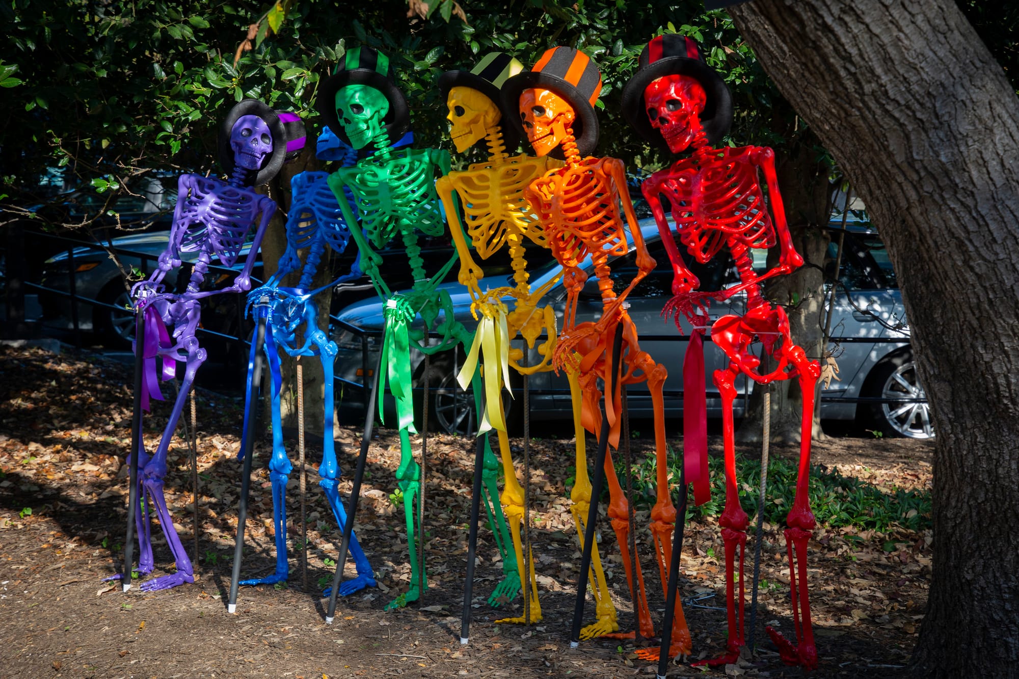Multi-colored skeletons.