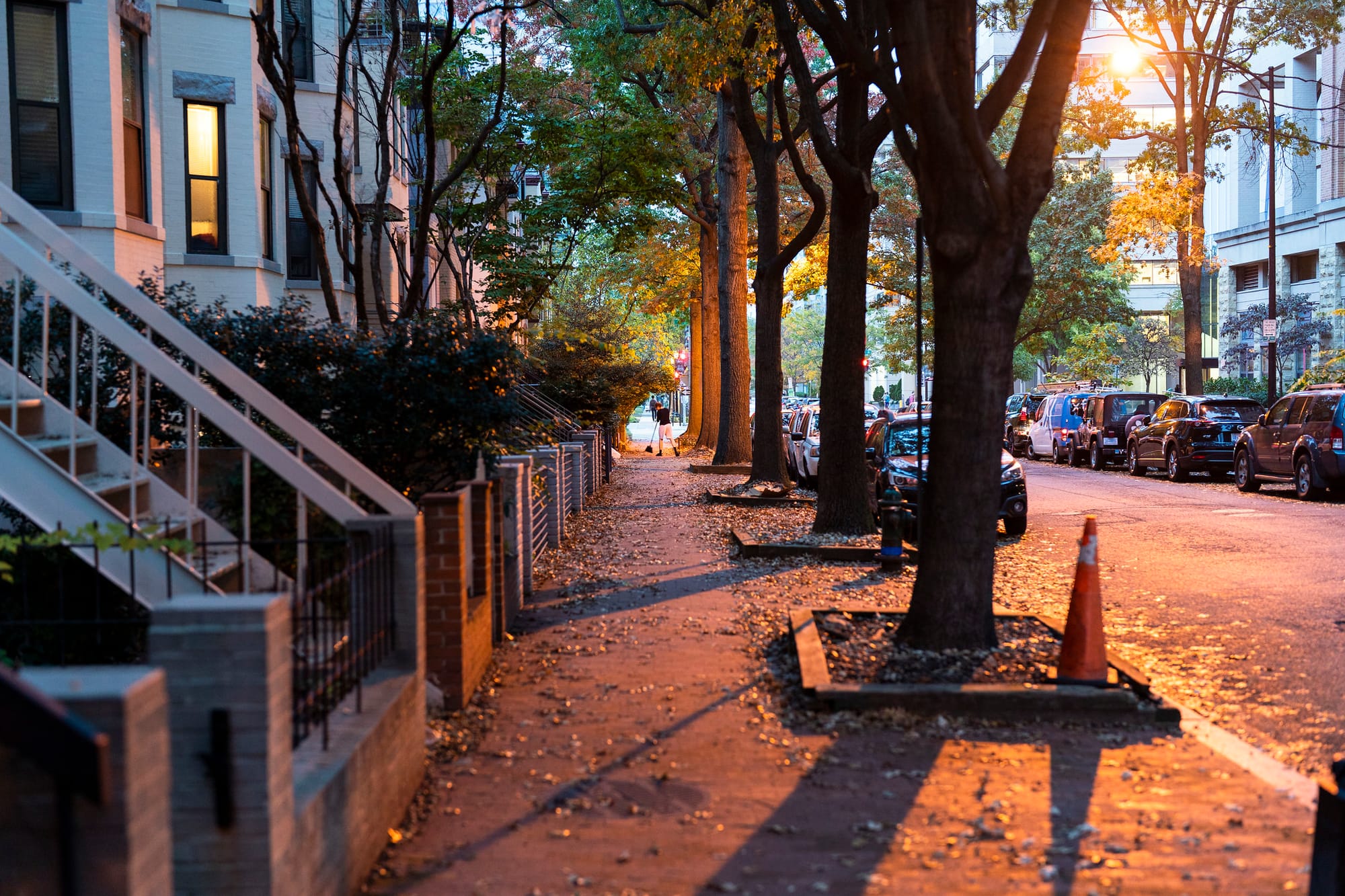 A D.C. street in autum as the sun sets