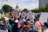 A crowd gathered near the Capitol during the recent No Kings March in D.C. 