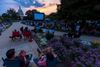 People watch Shrek on the lawn of the Library of Congress.