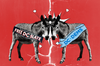 A graphic shows two donkeys to demonstrate conflict within the D.C. Democratic Party