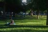 A person reads in Dupont Circle in Washington, D.C.