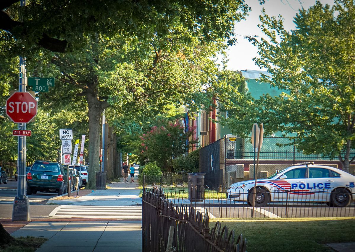 9 ways to volunteer around D.C. this week