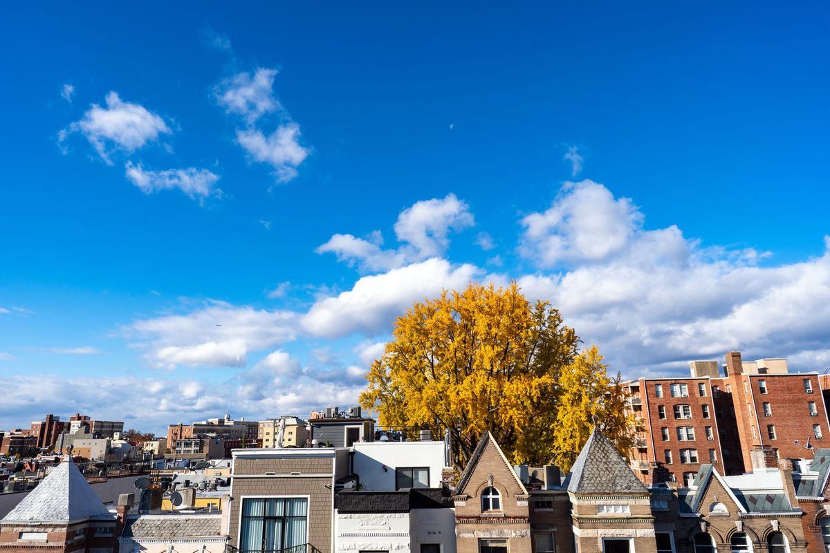 9 ways to volunteer around D.C. this week