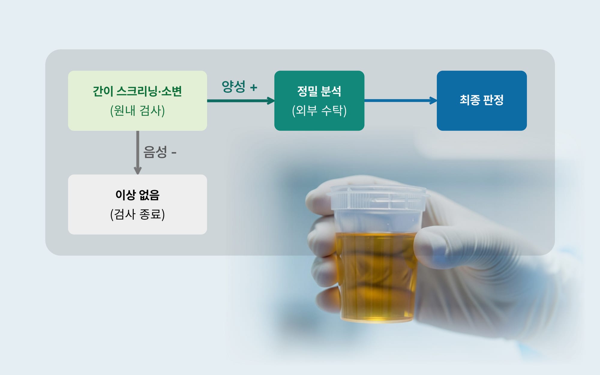 마약검사 2단계 흐름 — 원내 간이검사 후 양성 시 외부 수탁기관에 정밀 확인검사 의뢰