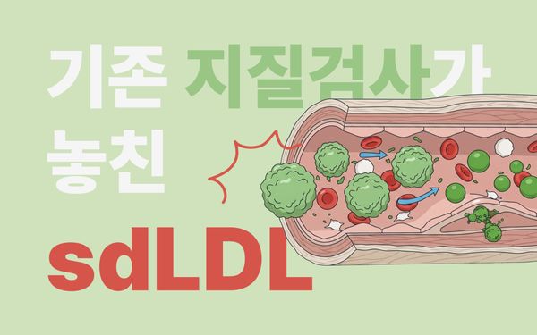 LDL 정상인데 심근경색? sdLDL-C 검사 원내 도입 가이드
