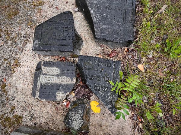 Enough With The Past, Let Me Deal With the Dead