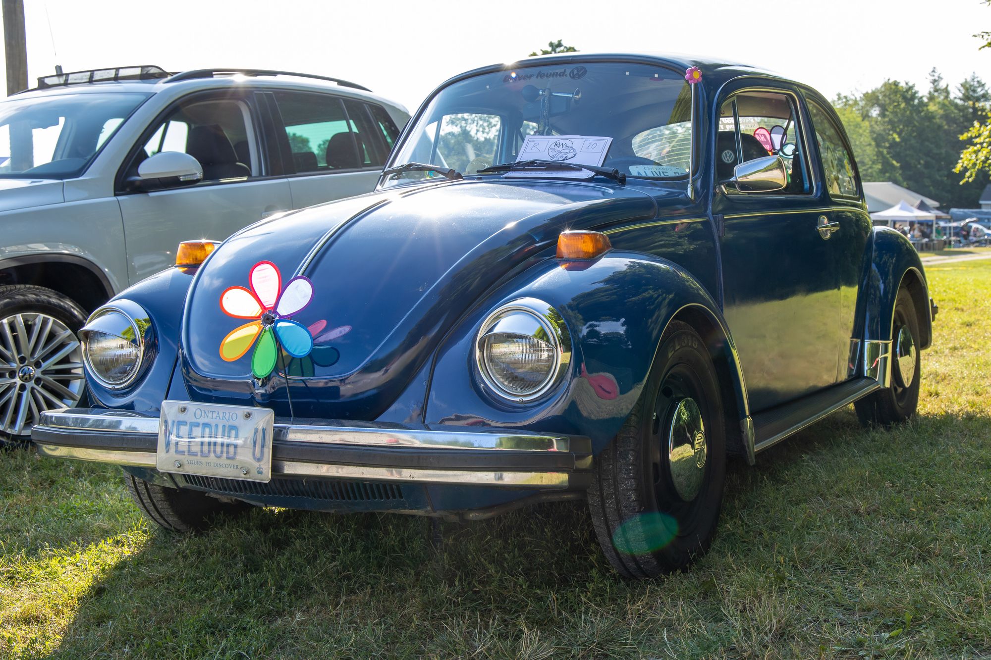 VW fans bugging out to Heidelberg July 9