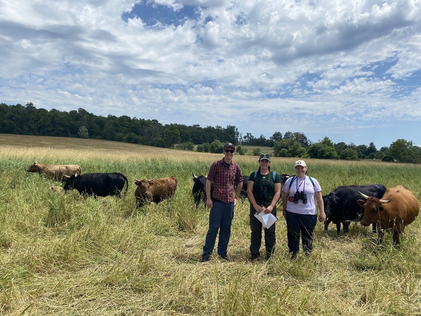 Reversing provincial plan to allow more housing on farm properties is just the start