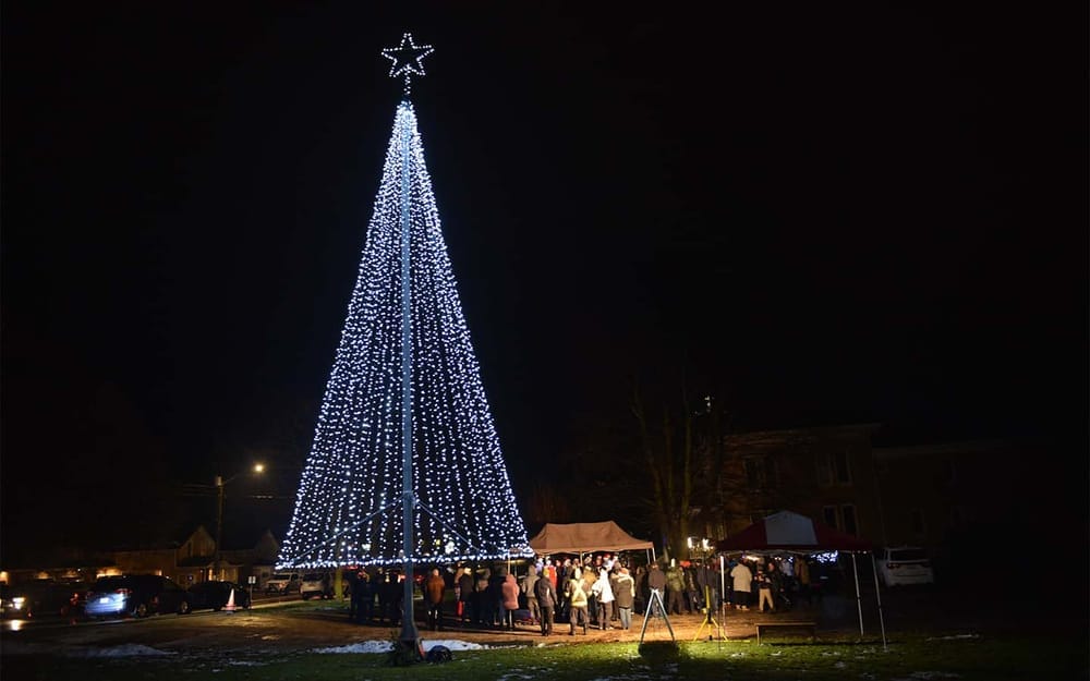 Paradise Lions to illuminate Tree of Light on Saturday