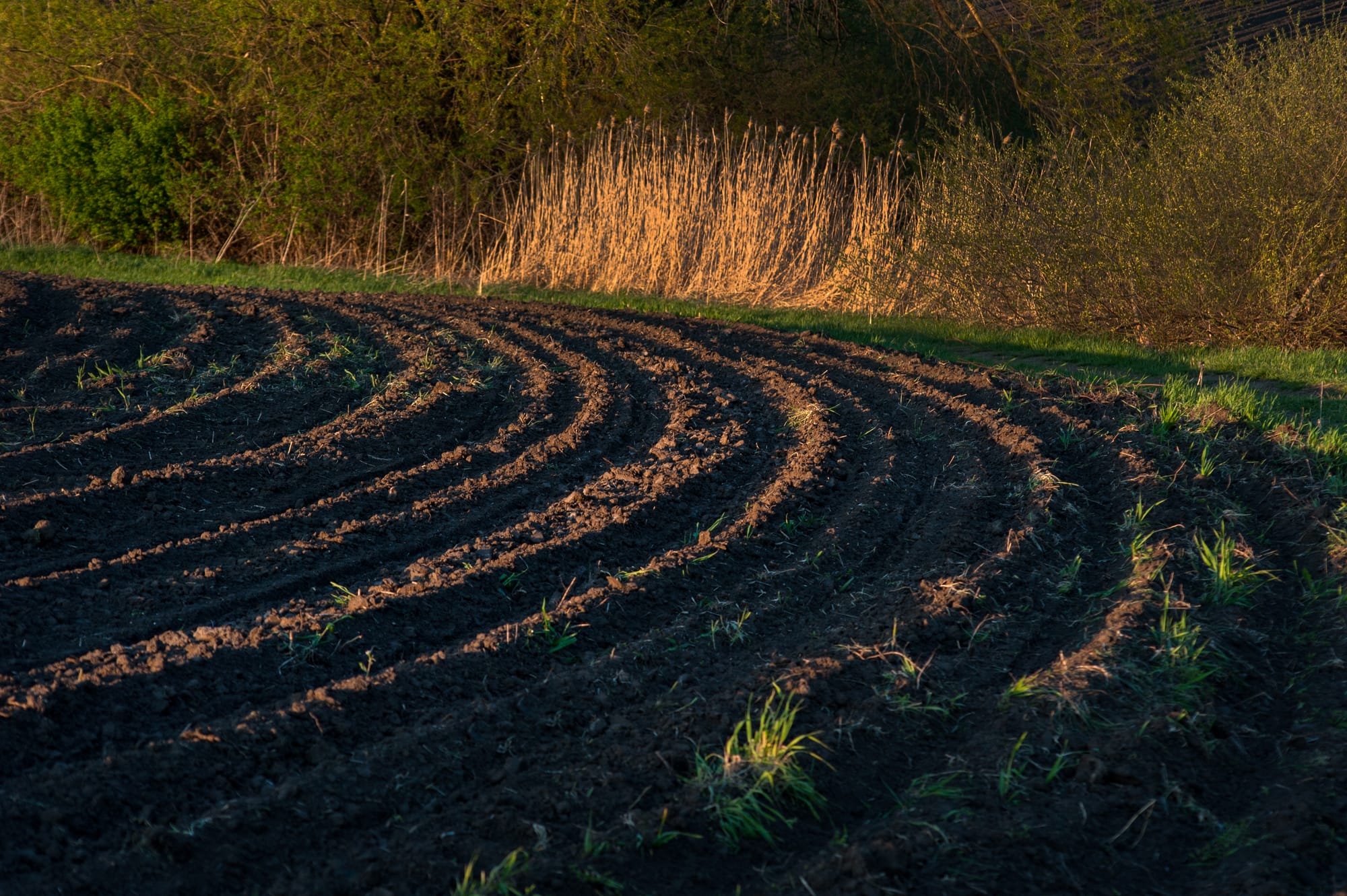 Secrecy prevails as region looks to turn farmland into industrial site
