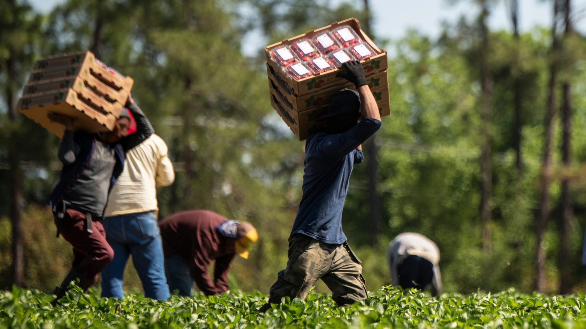 More protection for injured migrant workers