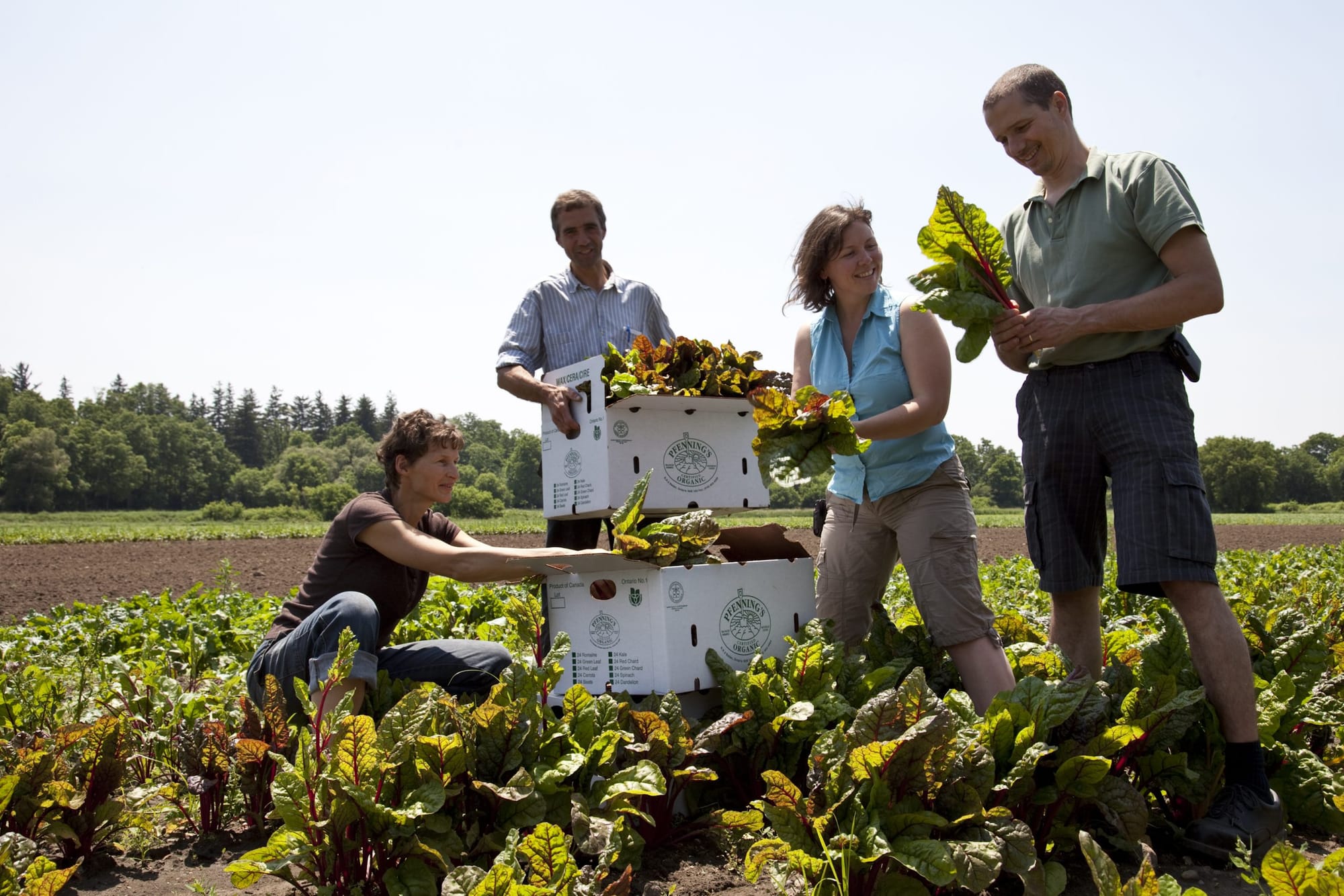 Provincial funding helps boost organic food sector