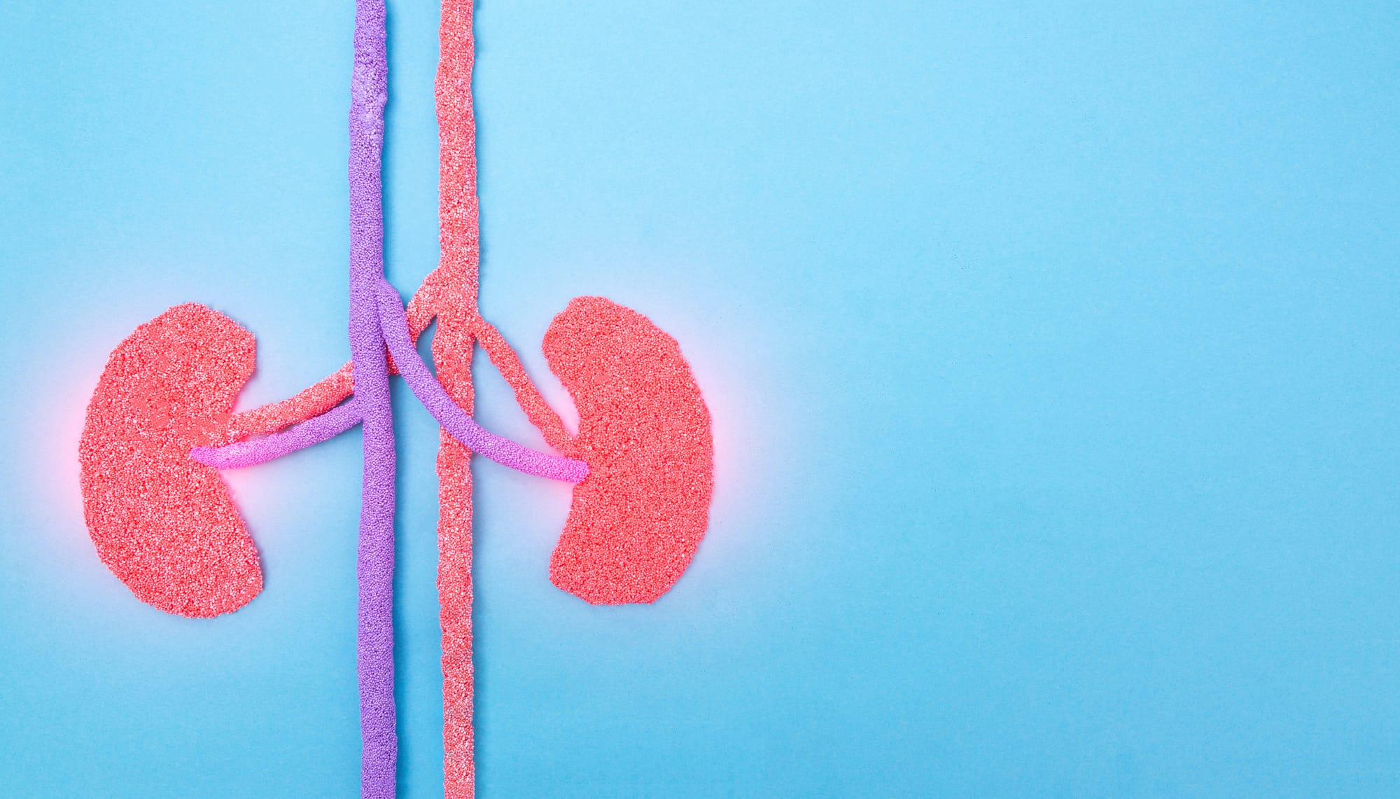 Understanding chronic kidney disease