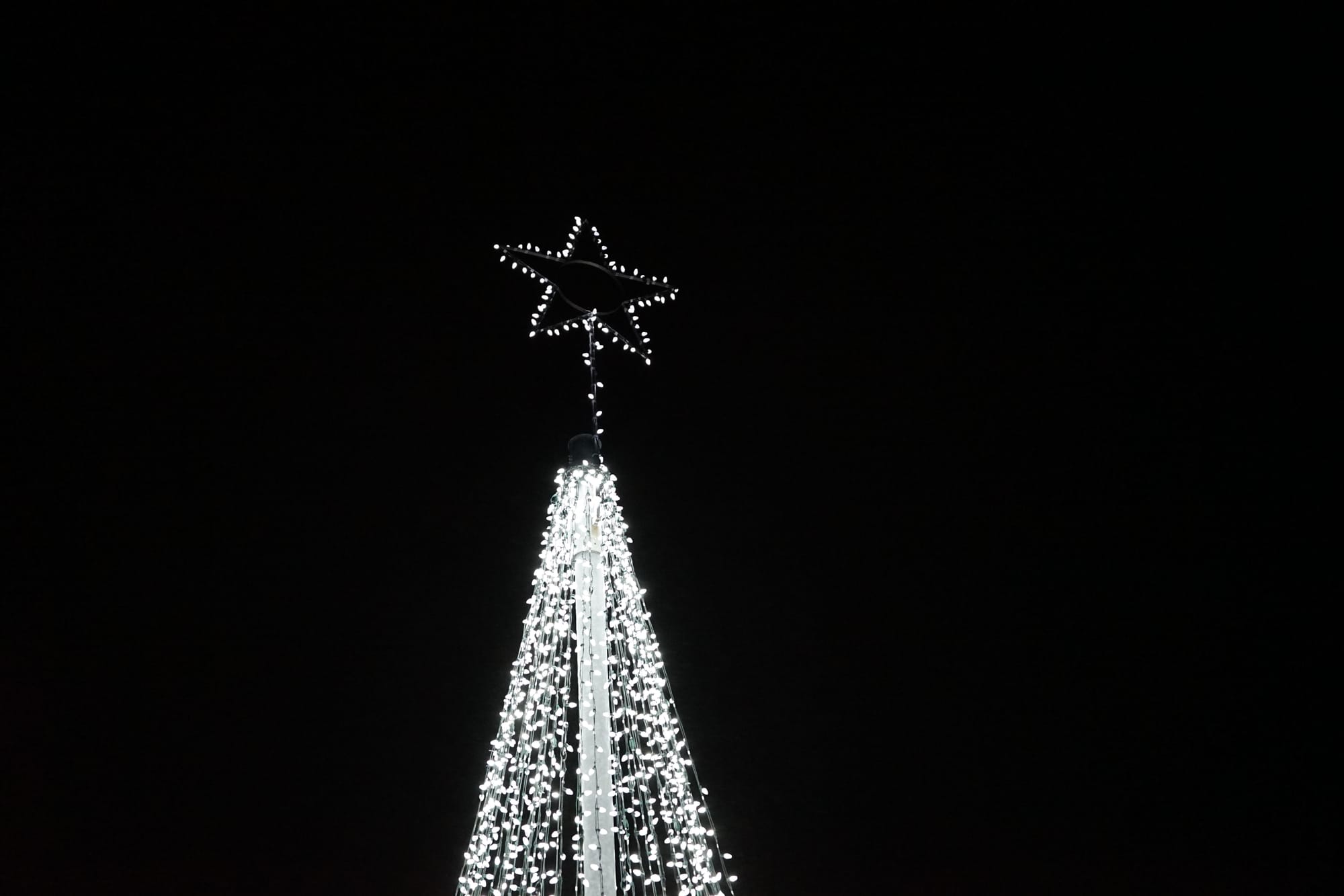 Paradise and District Lions Club lit up the night at the Tree of Light ceremony