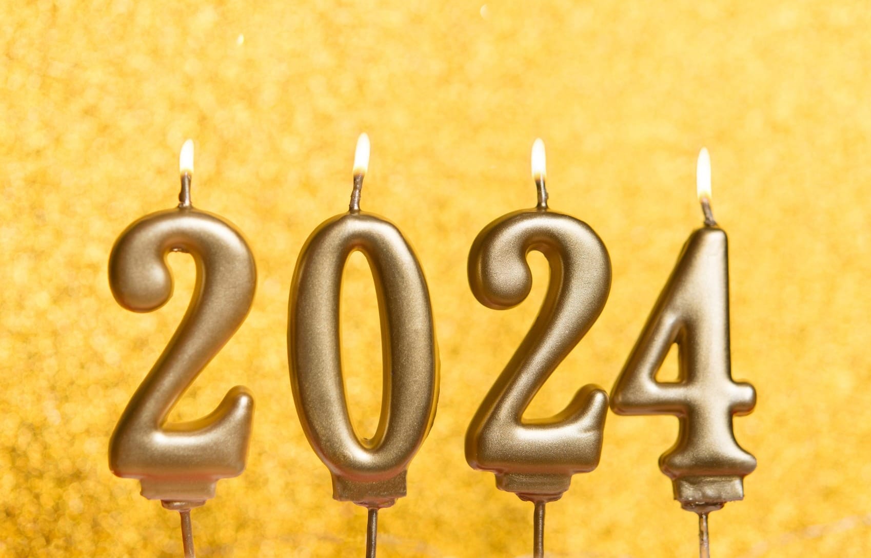 2024: The Observer Year in Review