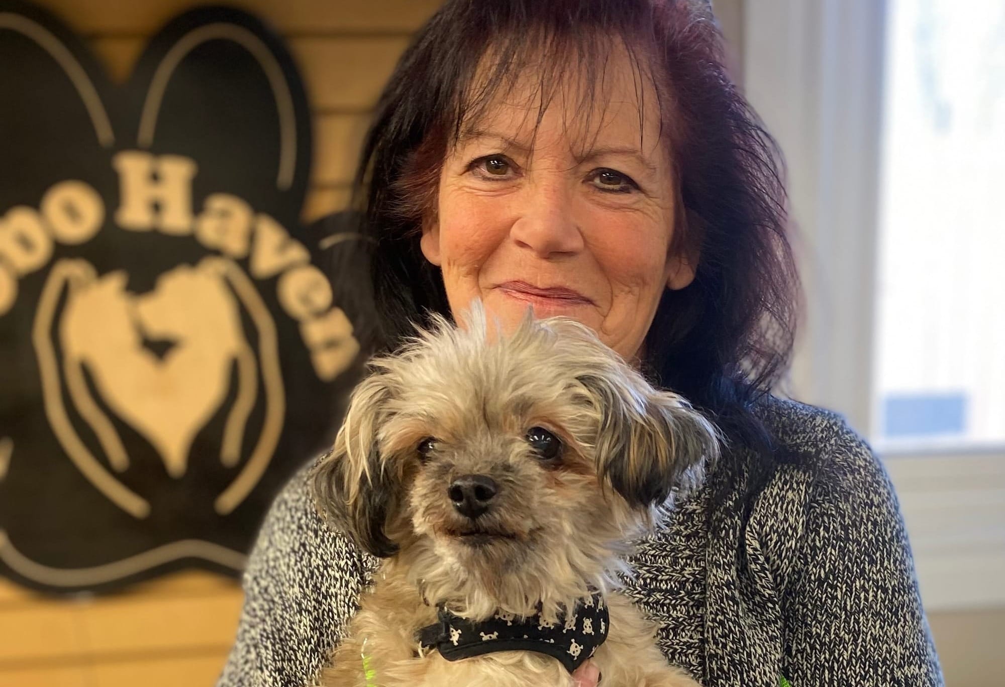Finding suitable foster homes a limiting factor for dog-rescue operation