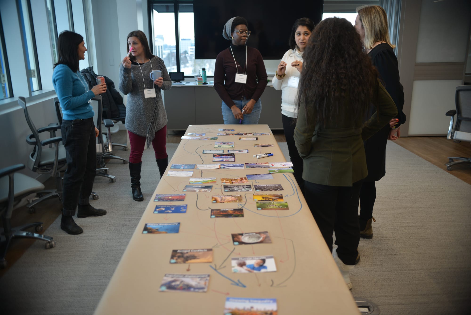 A card game that helps people visualize the impacts of climate change