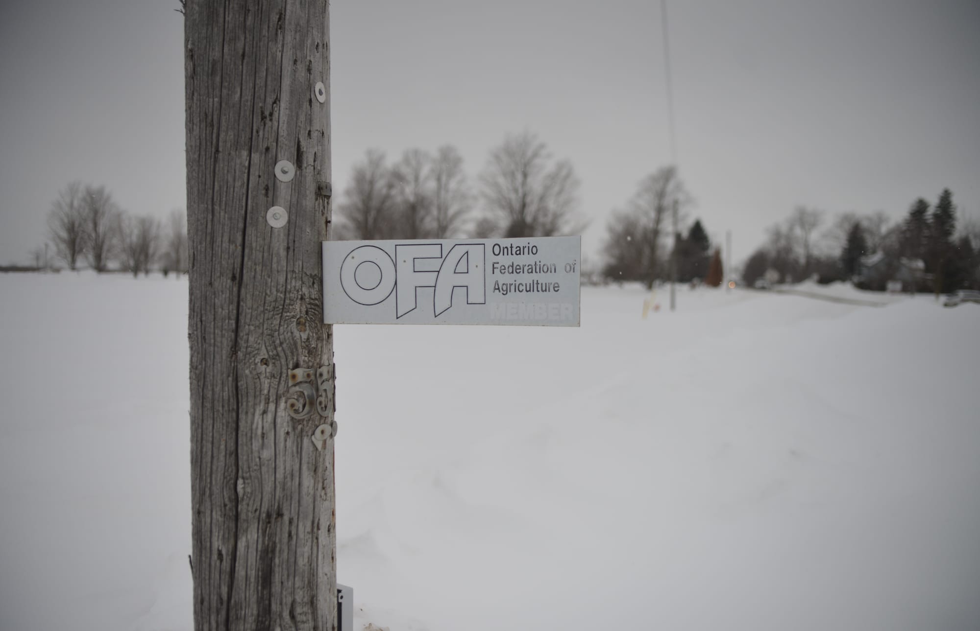 Farm business growth expected to slow in face of uncertainty