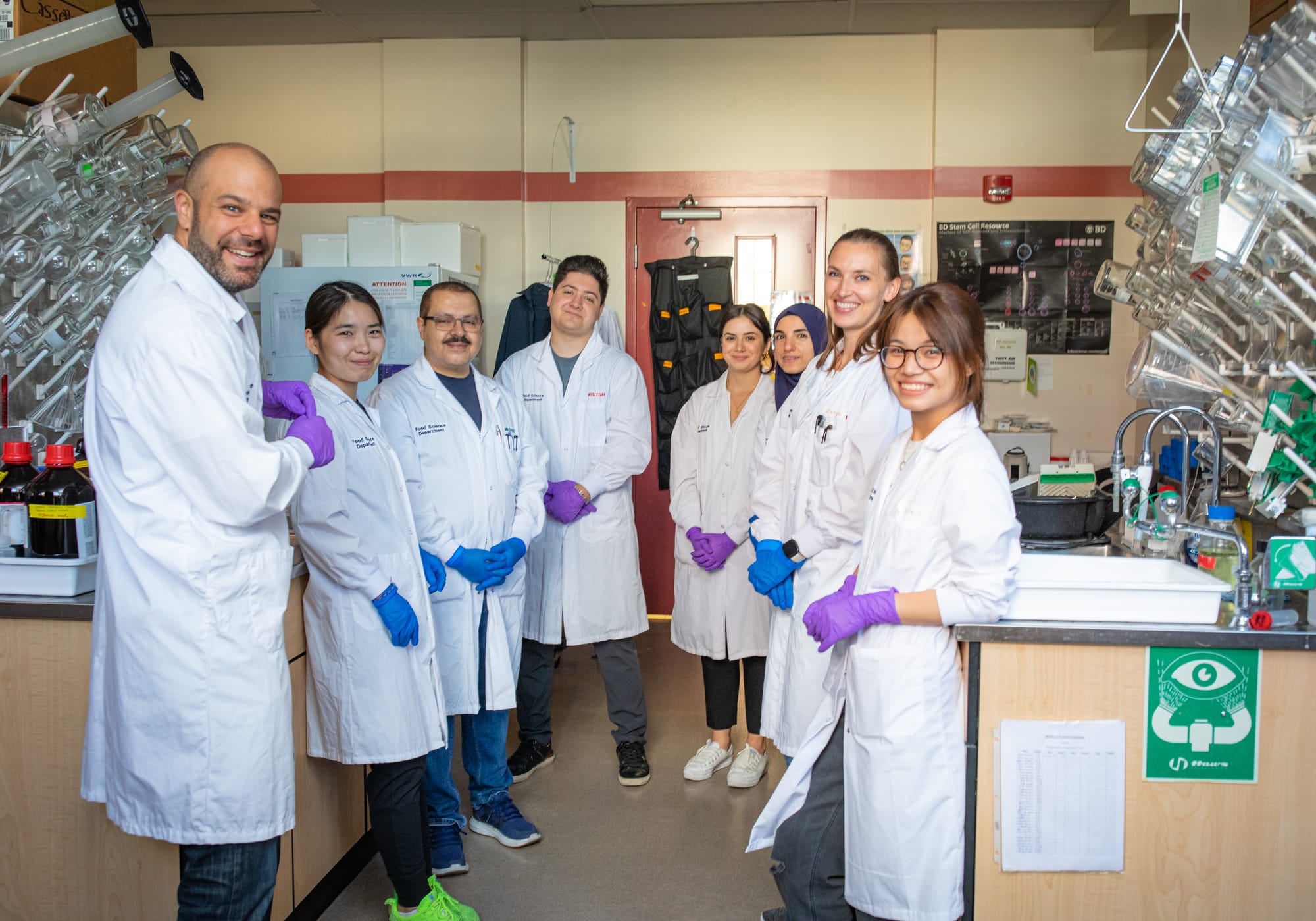 Researchers find cancer-treatment benefits from compound in avocados