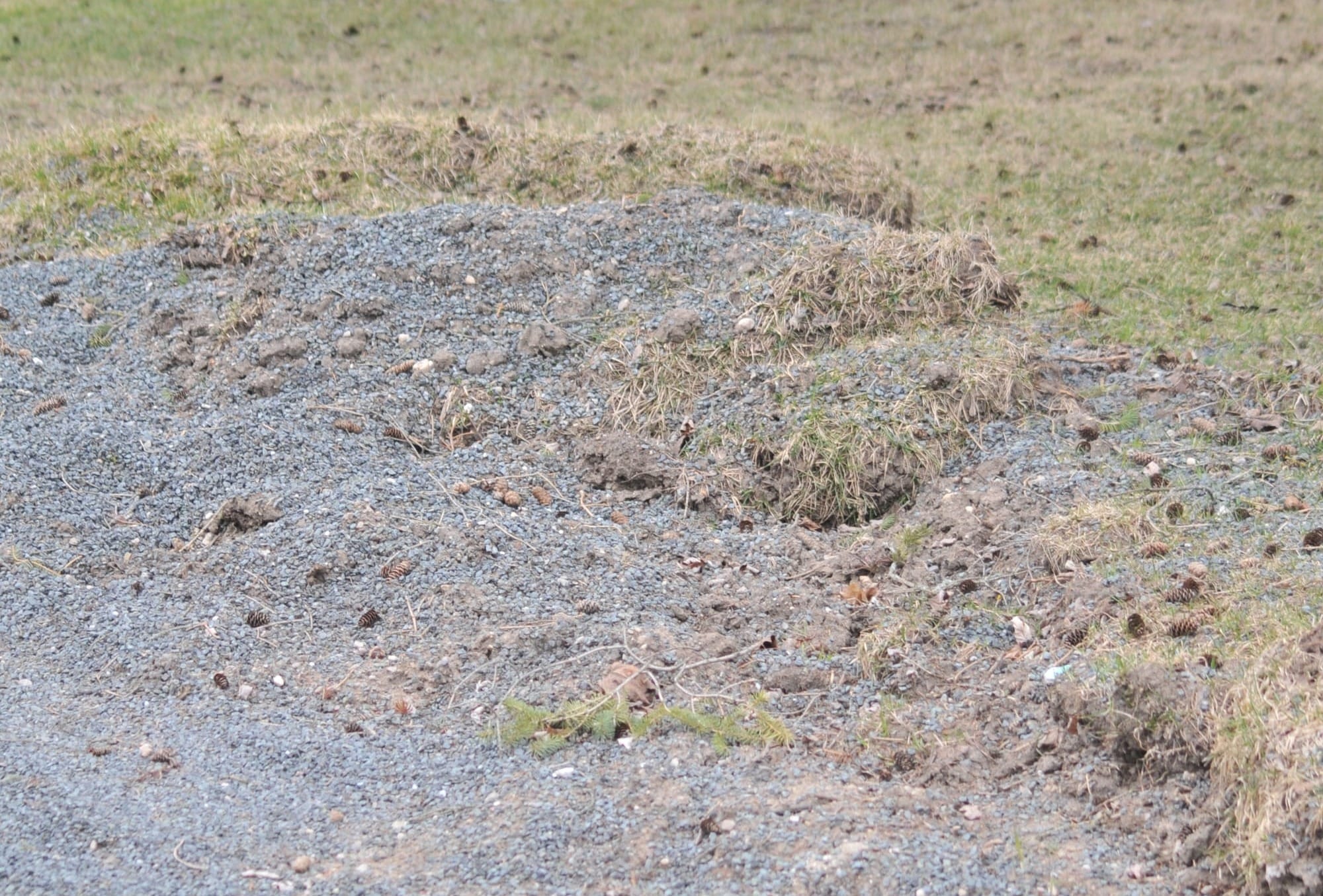 Conestogo residents want action on mess from tar-and-chip roads