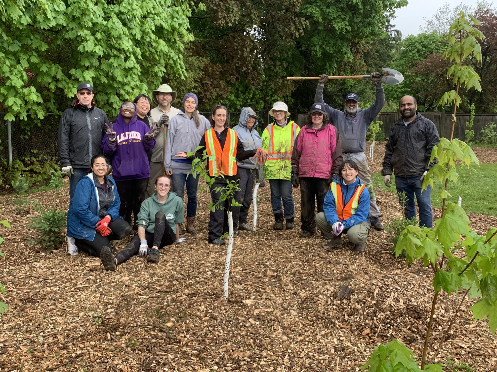 Microforest project a good fit for Woolwich