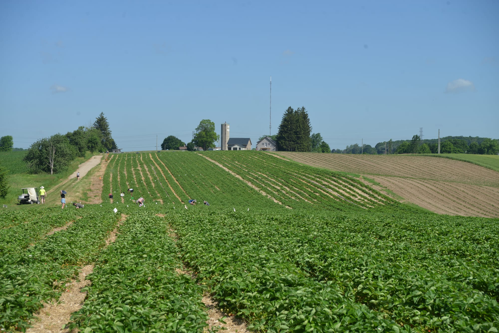 Ontario Green Party leader drumming up support for foodbelt bill over the summer
