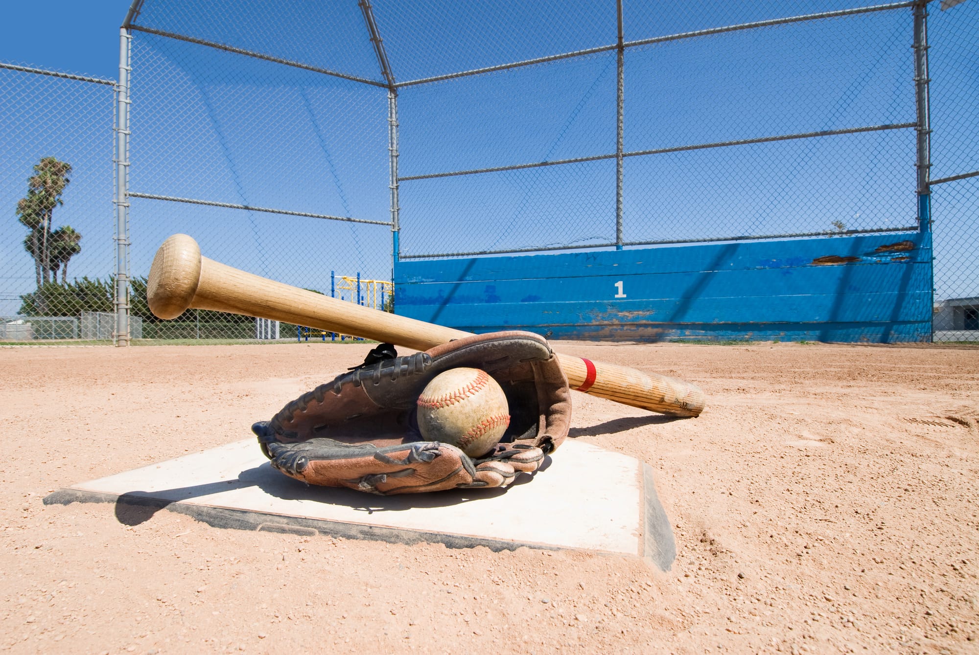 Wellesley councillors debate rental rates at township ball diamonds