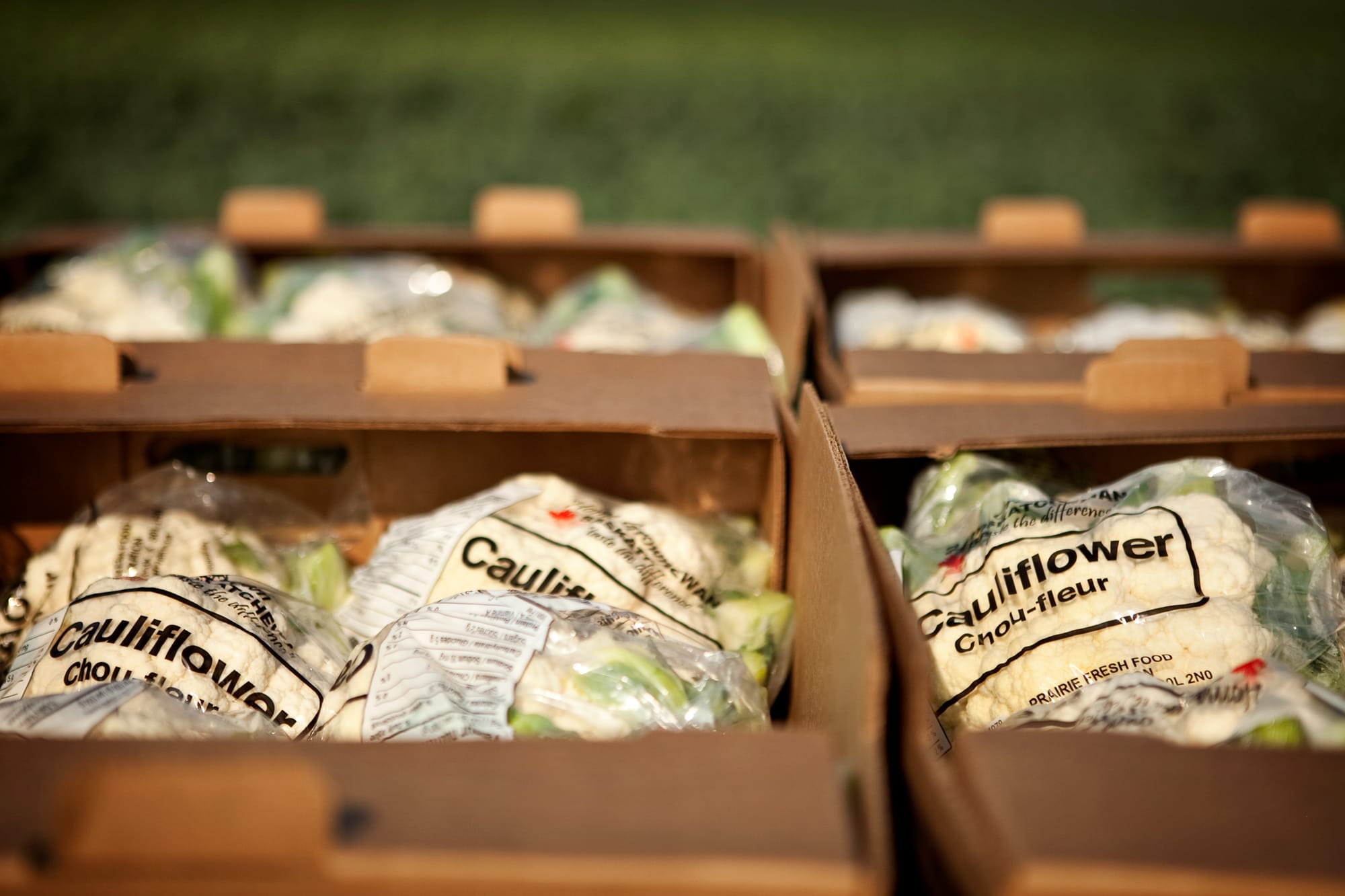Don’t blame farmers for higher prices, says NFU