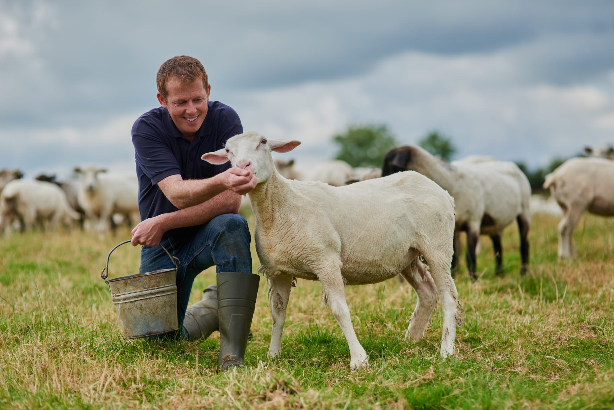 Handling livestock is a prime safety issue on the farm