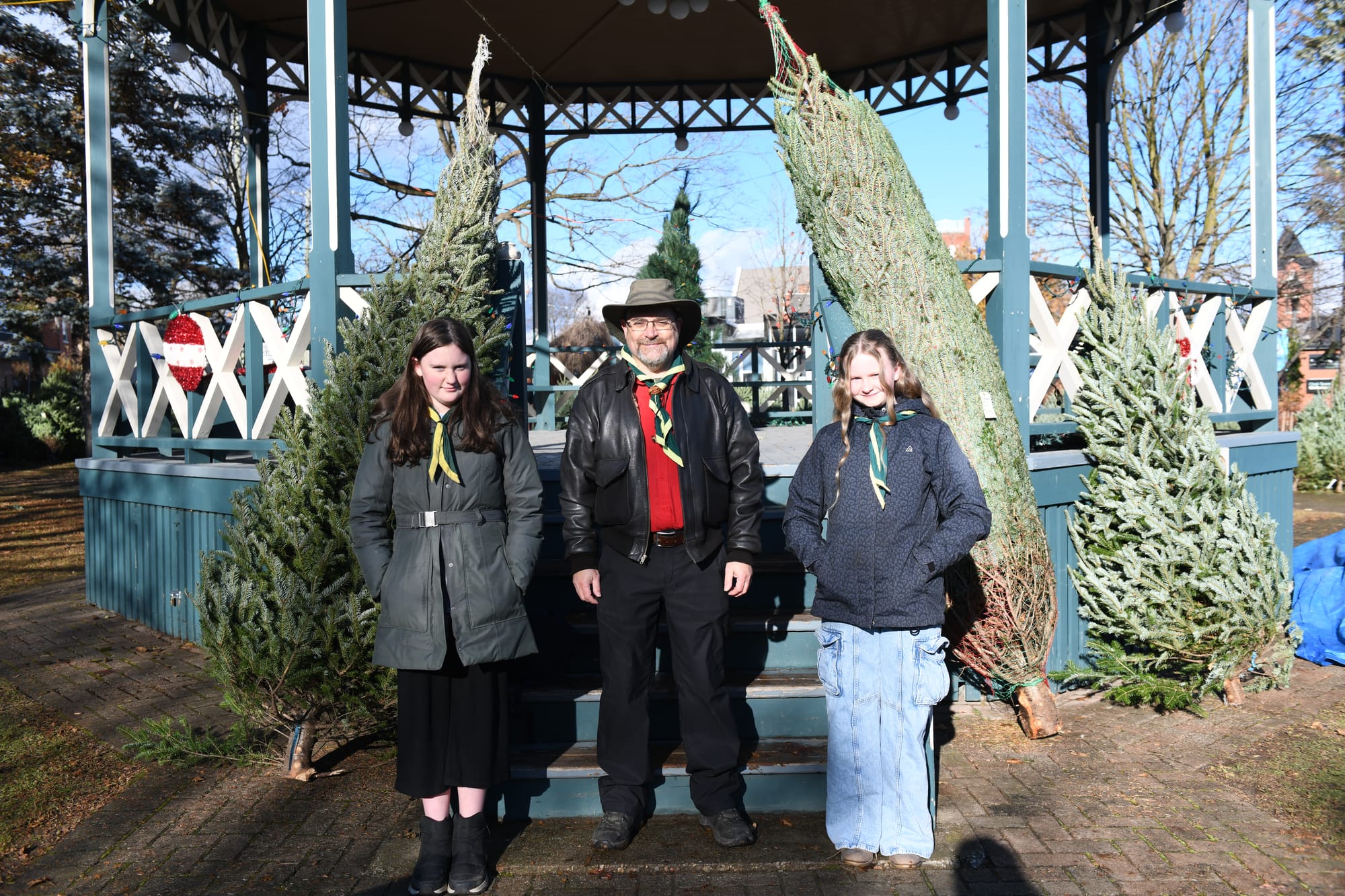 Scouting out a fresh Christmas tree